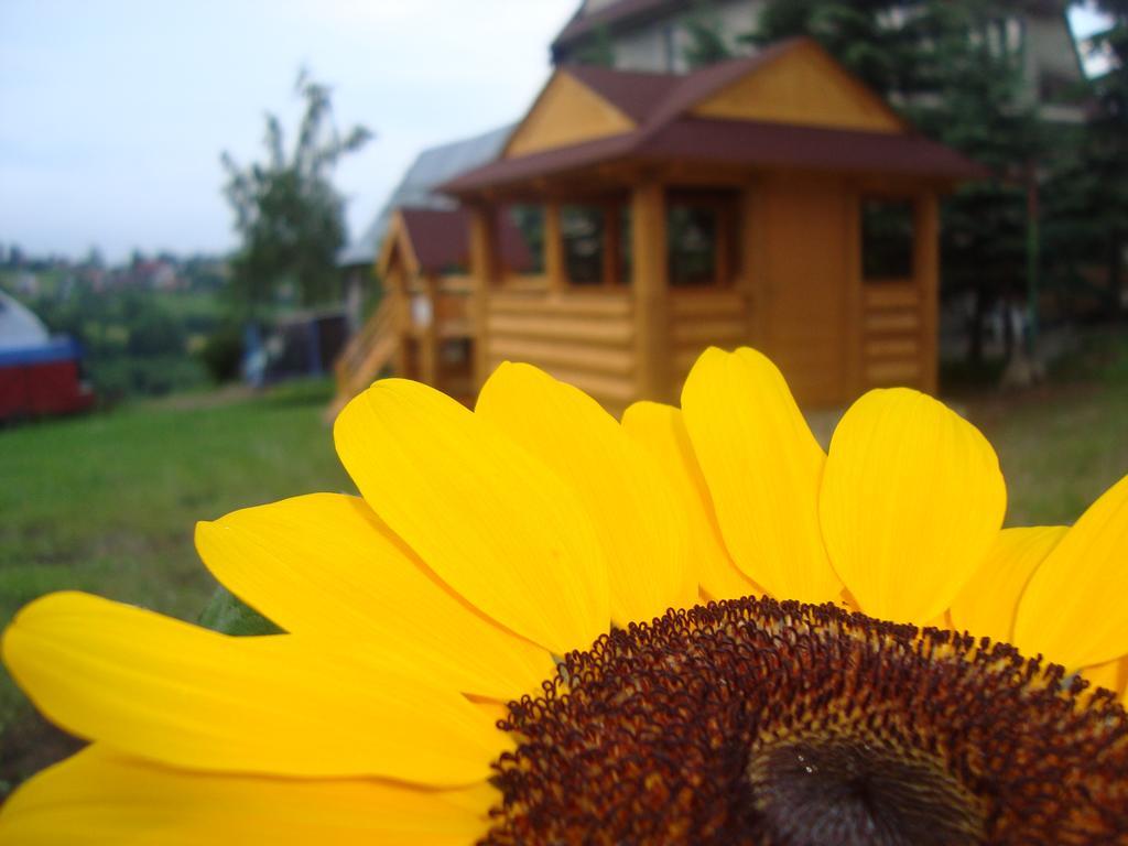 Apartamenty I Pokoje Pod Limbami - Sauna, Teznia Bukowina Tatrzańska Exteriör bild